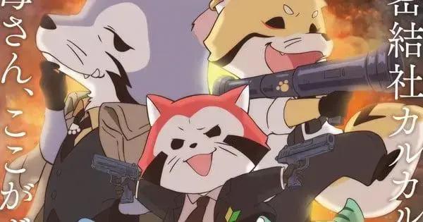 Araiguma Calcal-dan: Novidades e Personagens do Anime!