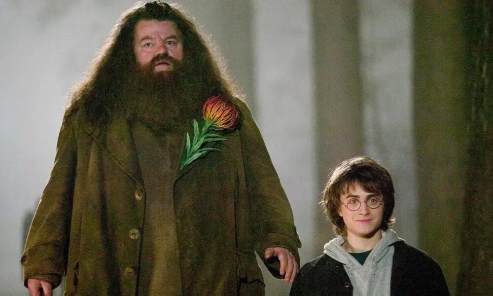 Sirius Black em Harry Potter: A Trágica História de Liberdade e Desespero