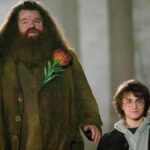 Sirius Black em Harry Potter: A Trágica História de Liberdade e Desespero