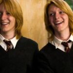 A Trágica Conexão Entre os Gêmeos Prewett e Weasley em Harry Potter