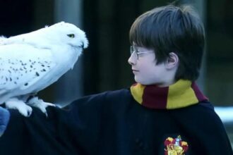 Conheça os Pets Mágicos mais icônicos do universo Harry Potter