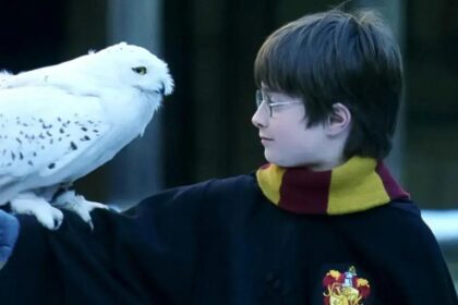 Conheça os Pets Mágicos mais icônicos do universo Harry Potter