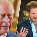 Demandas de Príncipe Harry complicam reencontro com Rei Charles em meio a batalha contra câncer