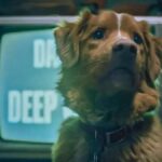 Good Boy: Filme de Terror Inovador com o Cachorro Indy em Destaque