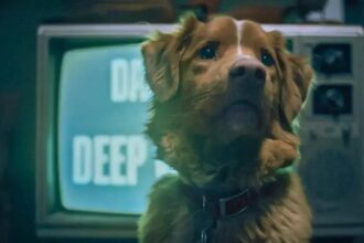 Good Boy: Filme de Terror Inovador com o Cachorro Indy em Destaque