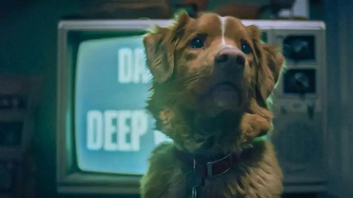Good Boy: Filme de Terror Inovador com o Cachorro Indy em Destaque