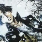 Minekura anuncia fim do mangá Wild Adapter na 8ª edição após longo hiato