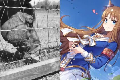 Pendão da fama: a despedida do icônico Grass Wonder em Umamusume