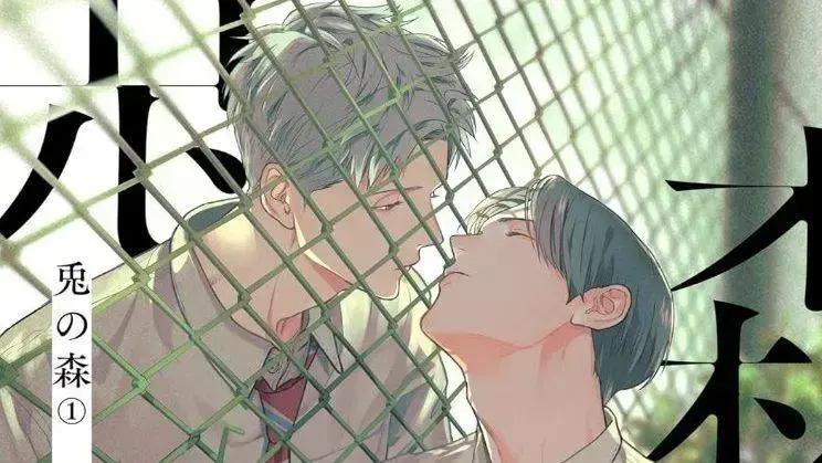 VIZ Media licencia novas séries de manga: Bride of the Shark Clan e Forest of the Rabbits