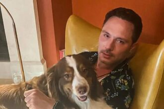 Nic Pizzolatto estreia na direção com Easy's Waltz no TIFF 2025