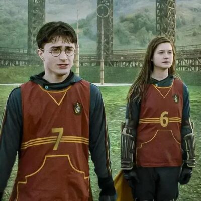 Os 7 jogos de Quadribol mais memoráveis de Harry Potter entre 1991 e 1998