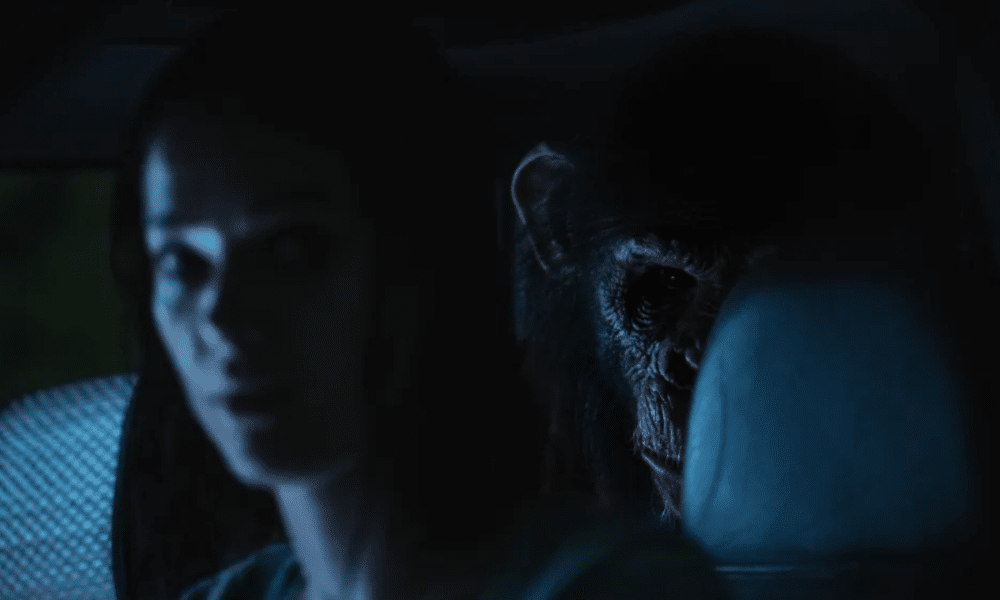 O Primata final explicado