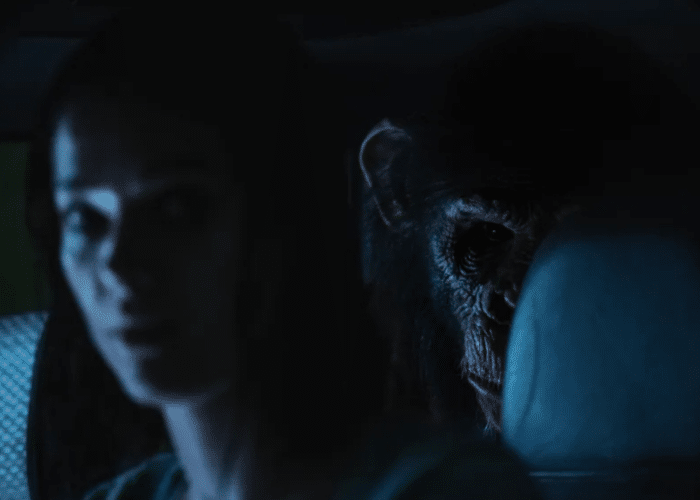 O Primata final explicado