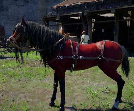 How to Get Camora, the Legendary Red Horse in Crimson Desert (3)