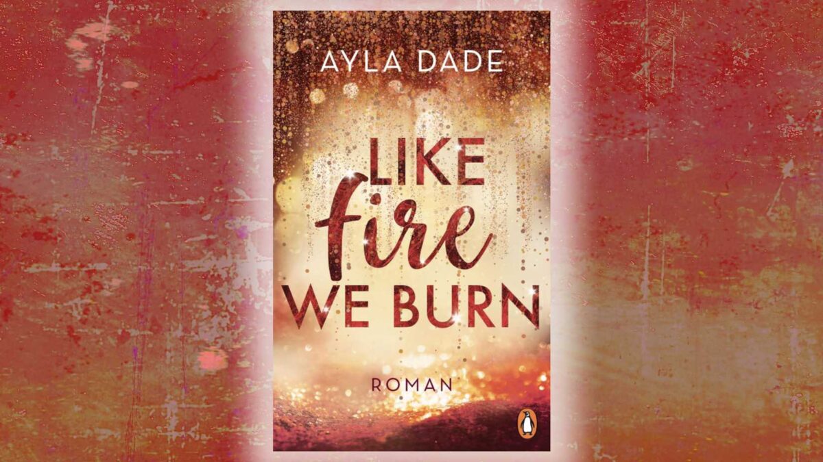 Like Fire We Burn book cover