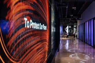 Biodiversidade: Espécies Desaparecem 1.000x Mais Rápido - biodiversidade