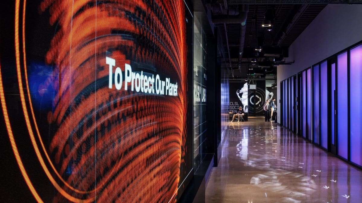 Biodiversidade: Espécies Desaparecem 1.000x Mais Rápido Biodiversidade: Espécies Desaparecem 1.000x Mais Rápido - biodiversidade