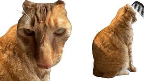 Brush Jjaemu: O Jogo Viral que Todos Estão Jogando - Brush Jjaemu