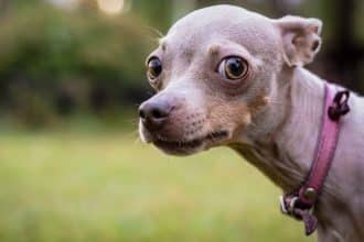 Pragmata e Mais: Jogos que Redefinem a Nostalgia em 2024 - Pragmata