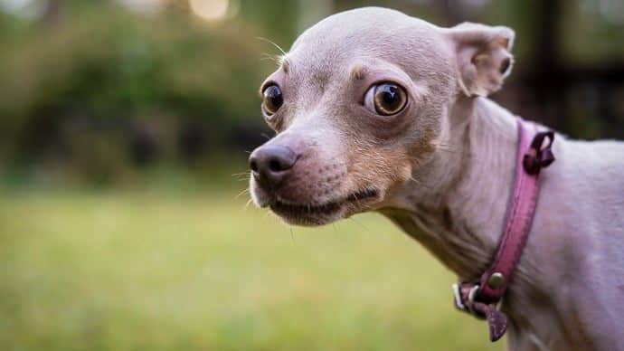 Pragmata e Mais: Jogos que Redefinem a Nostalgia em 2024 - Pragmata