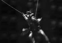 Spider-Noir: Nicolas Cage Revoluciona o Universo Marvel Spider-Noir: Nicolas Cage Revoluciona o Universo Marvel - Spider-Noir