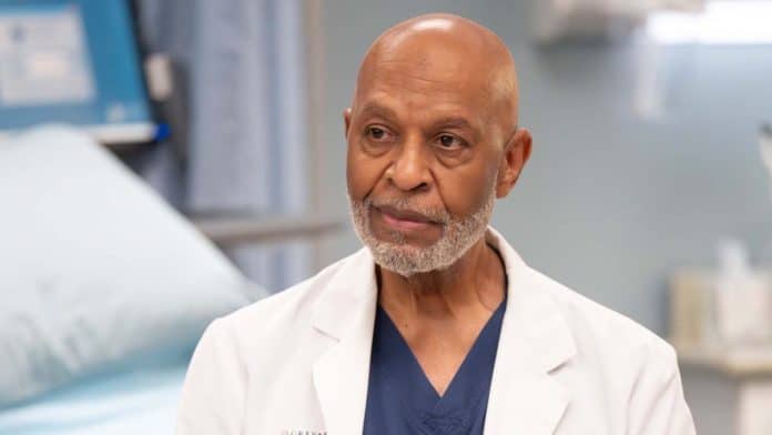 Grey’s Anatomy: O Drama Médico Mais Longo Continua - Grey's Anatomy 23ª temporada Grey’s Anatomy: O Drama Médico Mais Longo Continua - Grey's Anatomy 23ª temporada
