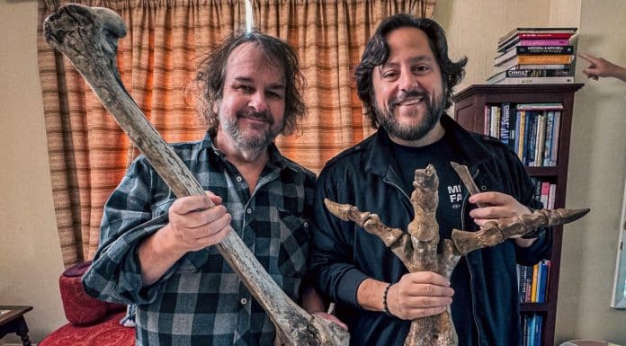 Descoberta de Ovo de Moa Gigante Revoluciona a Ciência Descoberta de Ovo de Moa Gigante Revoluciona a Ciência - ovo de moa gigante