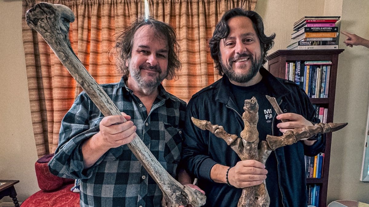 Descoberta de Ovo de Moa Gigante Revoluciona a Ciência - ovo de moa gigante Descoberta de Ovo de Moa Gigante Revoluciona a Ciência - ovo de moa gigante